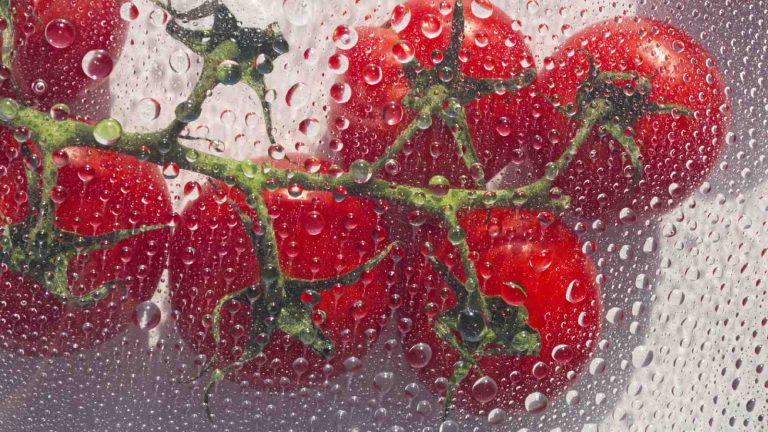 Monsoon diet: 4 vegetables to avoid eating in rainy season