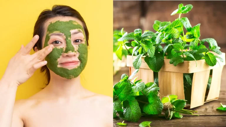 Here’s how to use pudina or mint for skin care