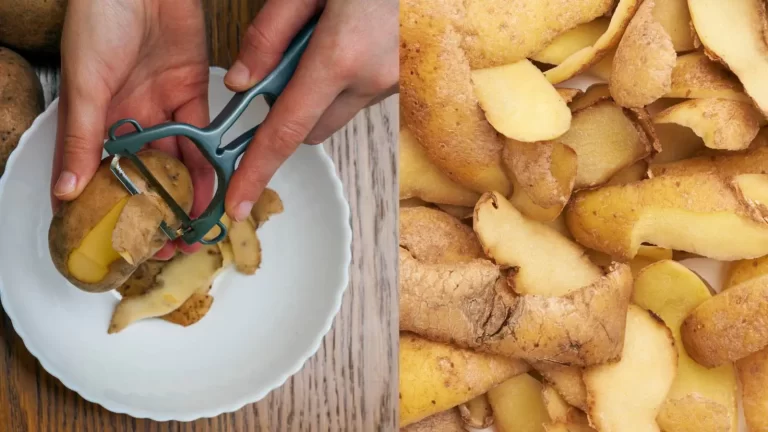 5 delicious recipes made with food waste you should try