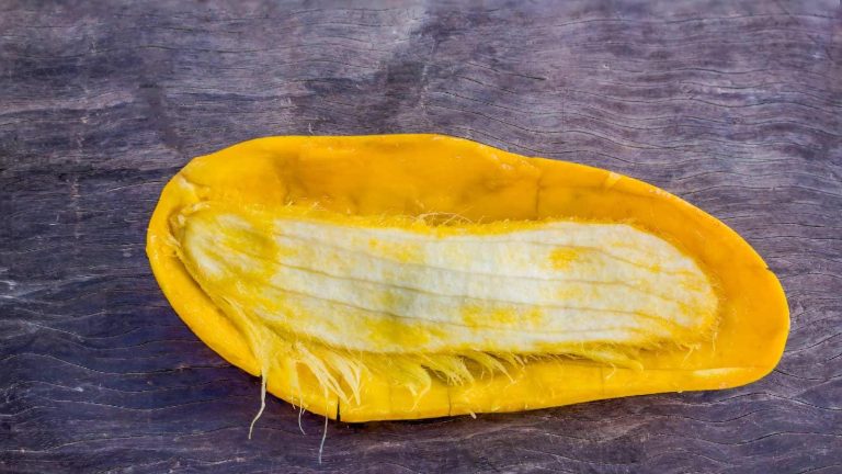 5 benefits of mango seeds that’ll make you regret throwing it