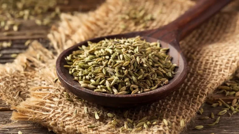 10 health benefits of saunf aka fennel seeds