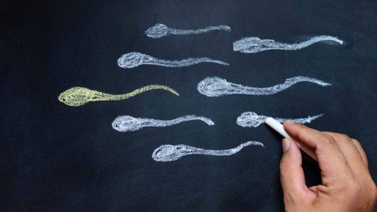 IVF Day: Know the link between obesity male fertility
