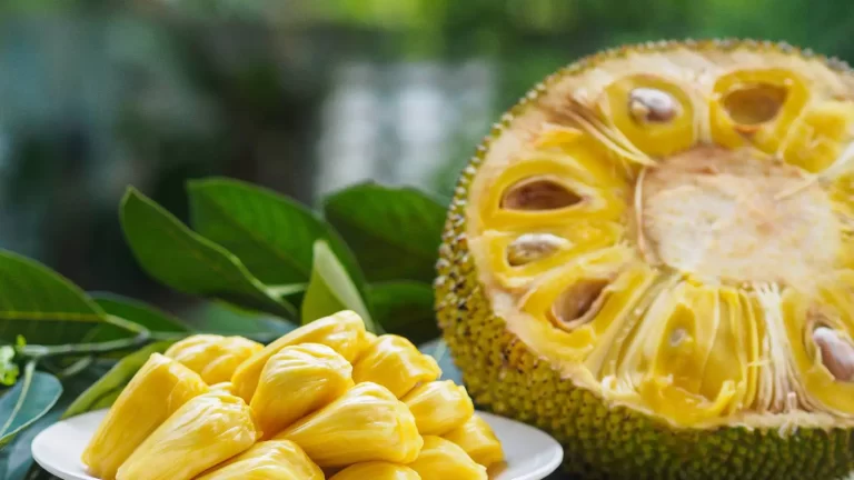 Is jackfruit or kathal safe for diabetics?