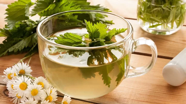 Is nettle tea safe to consume during pregnancy? A nutritionist answers! 