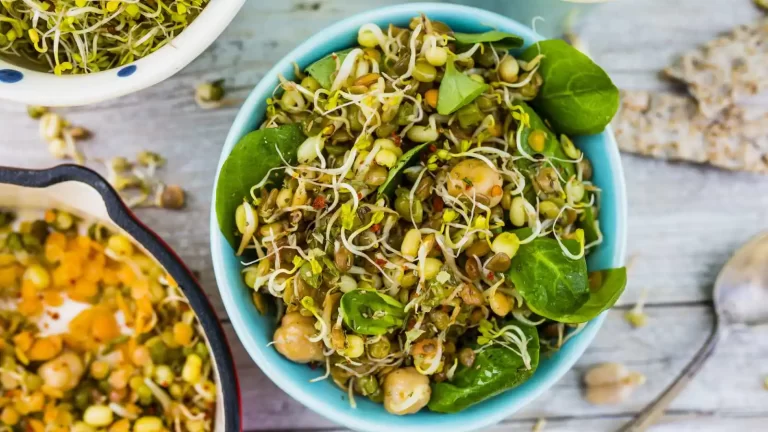 Do you eat sprouts daily? Here’s what to keep in mind