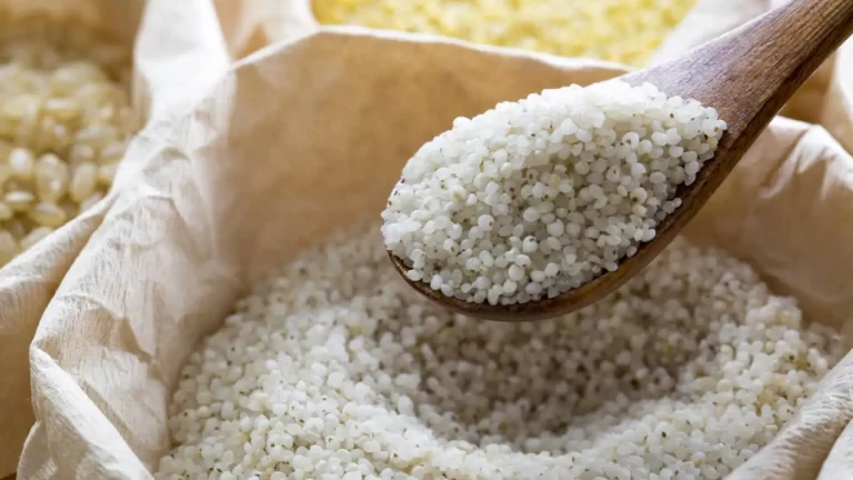Janmashtami fast: Know how to make samak rice or barnyard millet for energy