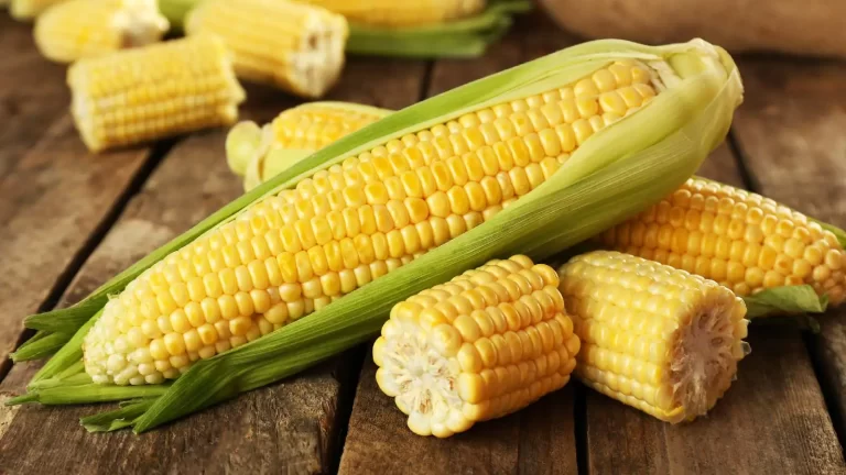 Corn for weight loss: 6 reasons why it may be good for you