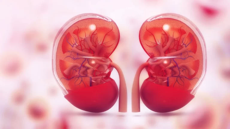 Kidney transplant: Do you really need it?