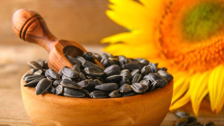 Know how to eat sunflower to make your meals healthier