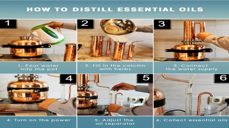 Methods for obtaining essential oils: Distillation