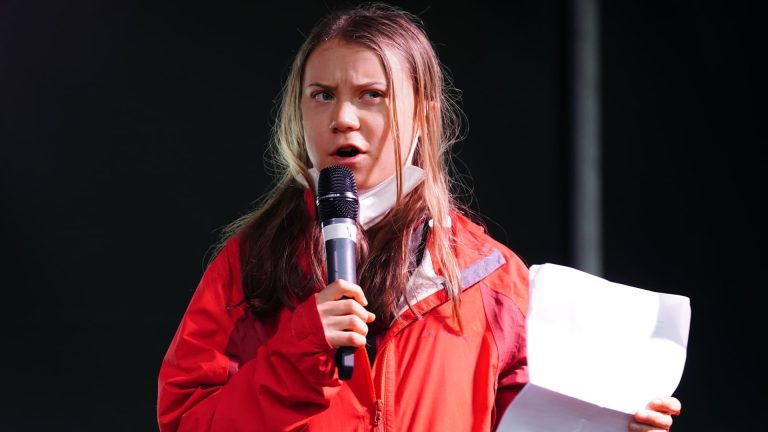 Greta Thunberg and other climate activists discuss the energy transition at Davos