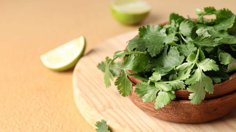 Thyroid awareness month: 3 benefits of coriander for thyroid control