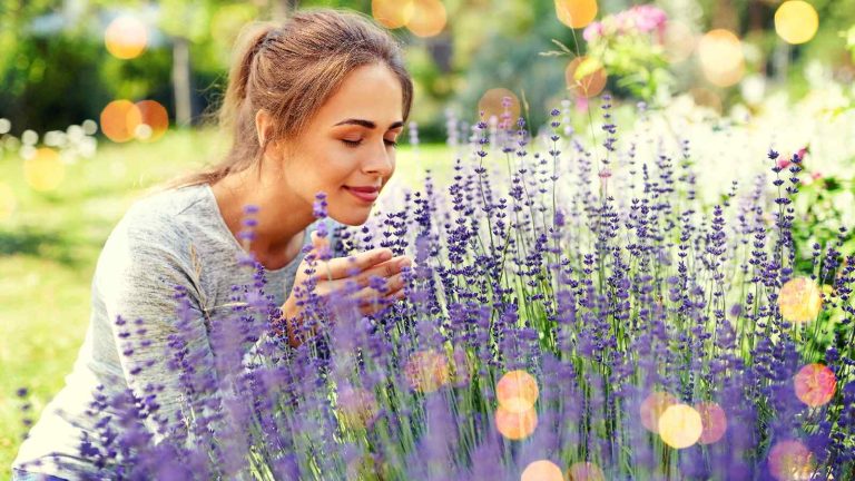 Why gardening can be your daily dose of health and happiness