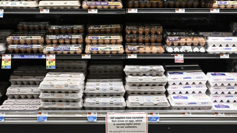 Wholesale egg prices have ‘collapsed’ from record highs in December